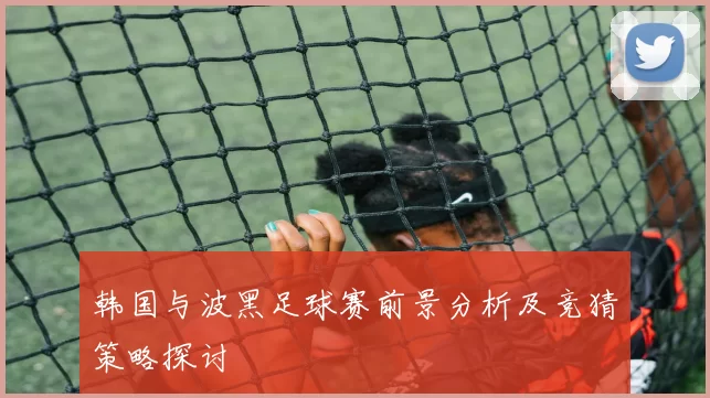 韩国与波黑足球赛前景分析及竞猜策略探讨