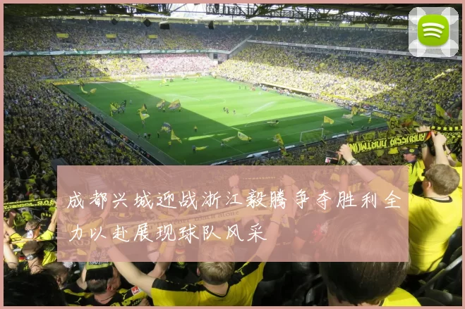 成都兴城迎战浙江毅腾争夺胜利全力以赴展现球队风采