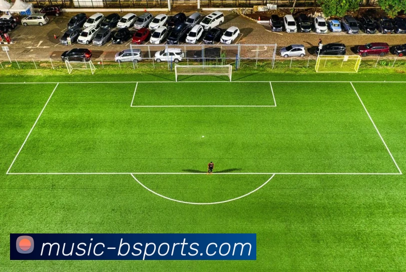 B体育APP 封面图